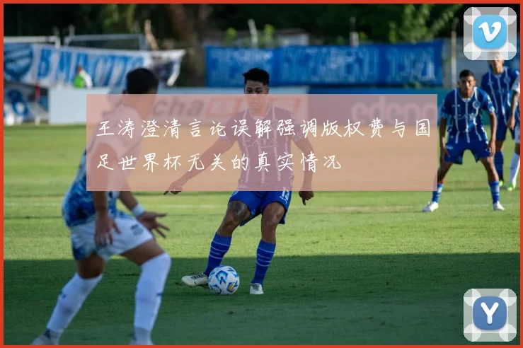 王涛澄清言论误解强调版权费与国足世界杯无关的真实情况